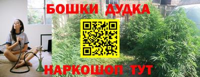 крисы Свободный