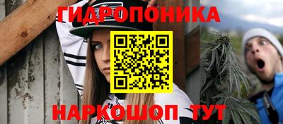 стафф Севастополь