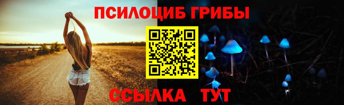 Галлюциногенные грибы Psilocybine cubensis  Вход с VPN  Реж 